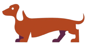dashundpuppyfamily.com